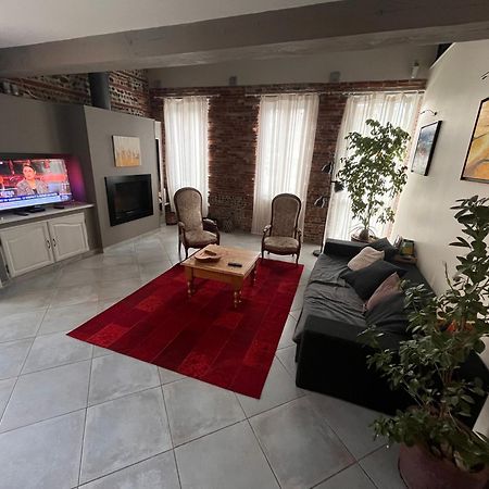 Magnifique Maison Toulousaine Toulouse Bagian luar foto